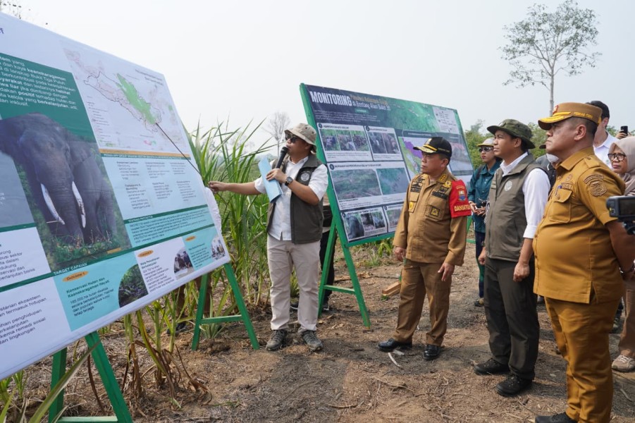 Dampingi Menhut Raja Juli, Al Haris Tinjau Konservasi Gajah dan Hutan Desa di Jambi