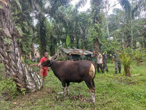 Diskannak Siak Kerahkan Tim URC Periksa Hewan Kurban.