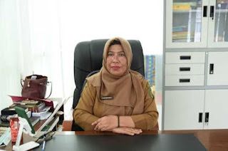 Dinkes Inhil Sosialisasikan Pelayanan Kesehatan Usia Produktif