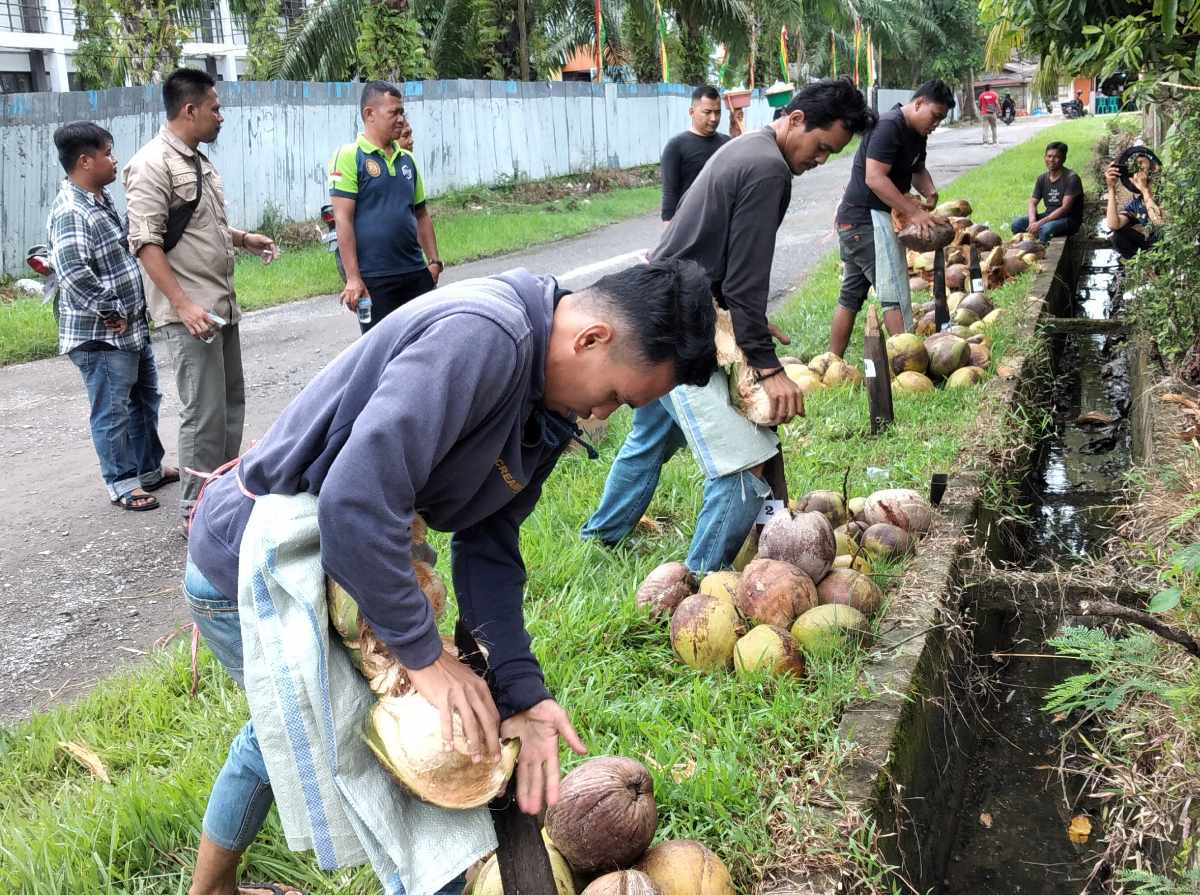 Mariahkan HPN Riau, DPMD Inhil Gelar Lomba Menyolak dan Membuat Minyak Goreng dari Kelapa
