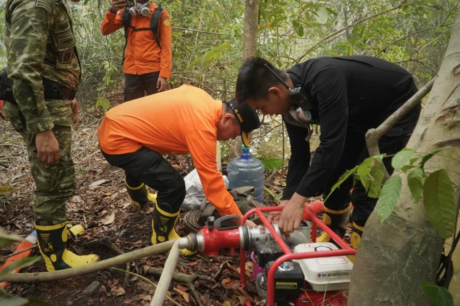 Tanjabtim Masih Jadi Perhatian Satgas Karhutla, Perkuat Pemadaman Darat dan Udara
