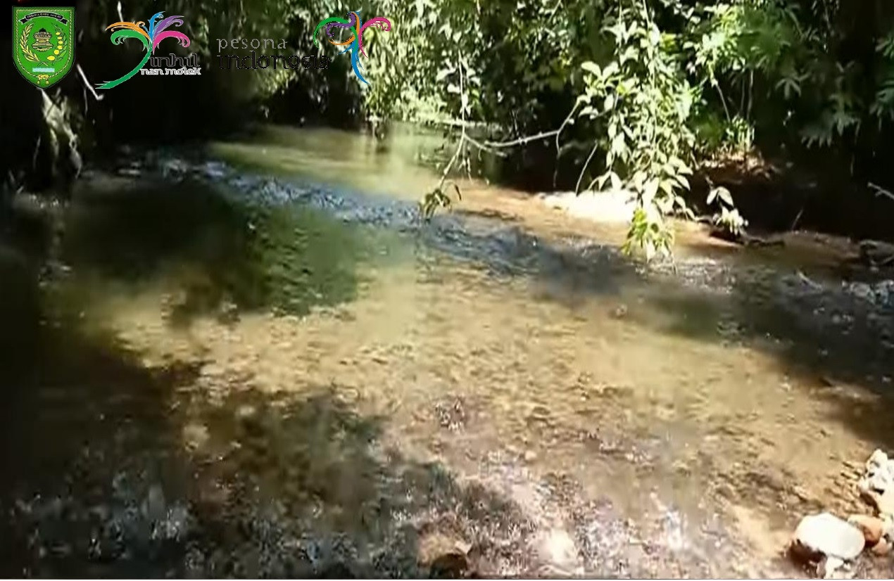 Sungai Yang Tersembunyi Nan Mempesona Di Wisata Alam Bukit Pendam