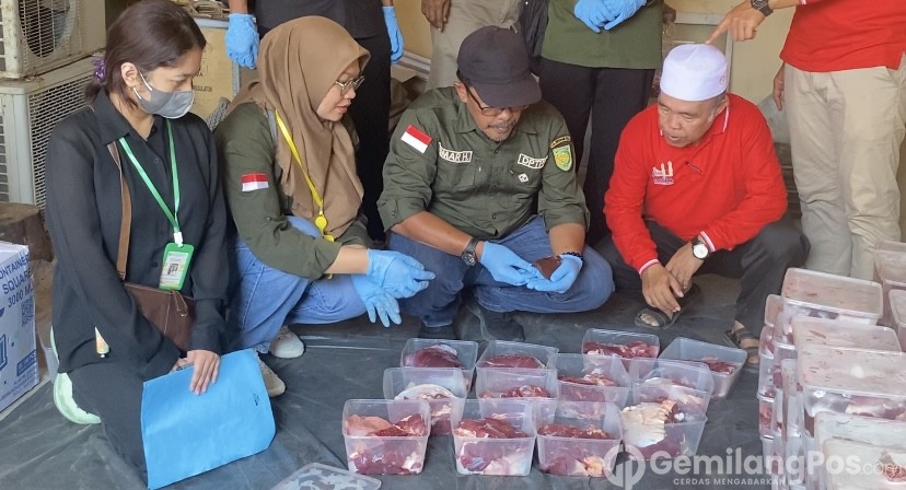 Guna Pastikan Hewan Kurban Idul Adha 1446 H Sehat, DPTPHP Periksa 2.547 Sapi dan 400 Kambing di Inhil