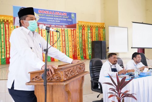 Buka Sosialisasi Kredit KUR, Bupati Alfedri Ingin Petani Manfaatkan KUR