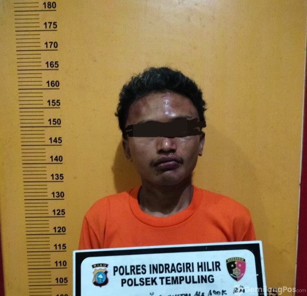 Pelaku Penikaman di Tempuling Berhasil Diamankan