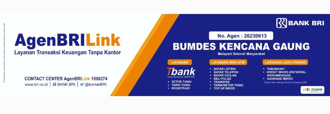 Inilah 3 Unit Usaha Andalan BUMDes Kecana Gaung Ciptakan PAD