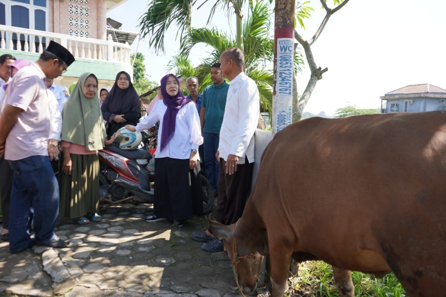 Hj. Hesti Haris bersama BKMT dan Posyandu Serahkan Hewan Kurban di Desa Tangkit dan Kelurahan Kasang