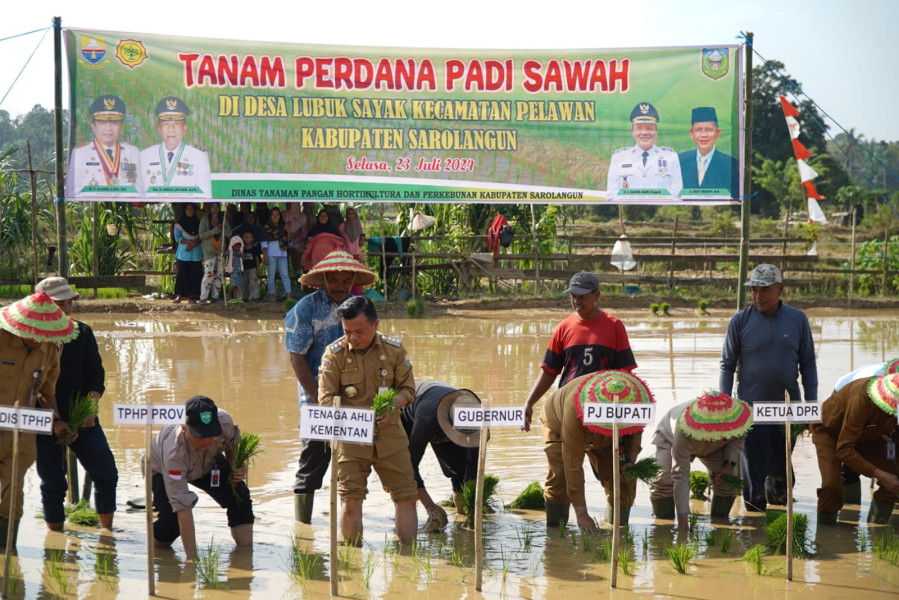 Tindakan Nyata Pengendalian Inflasi: Gubernur Al Haris Lakukan Tanam Padi di Lubuk Sayak Sarolangun