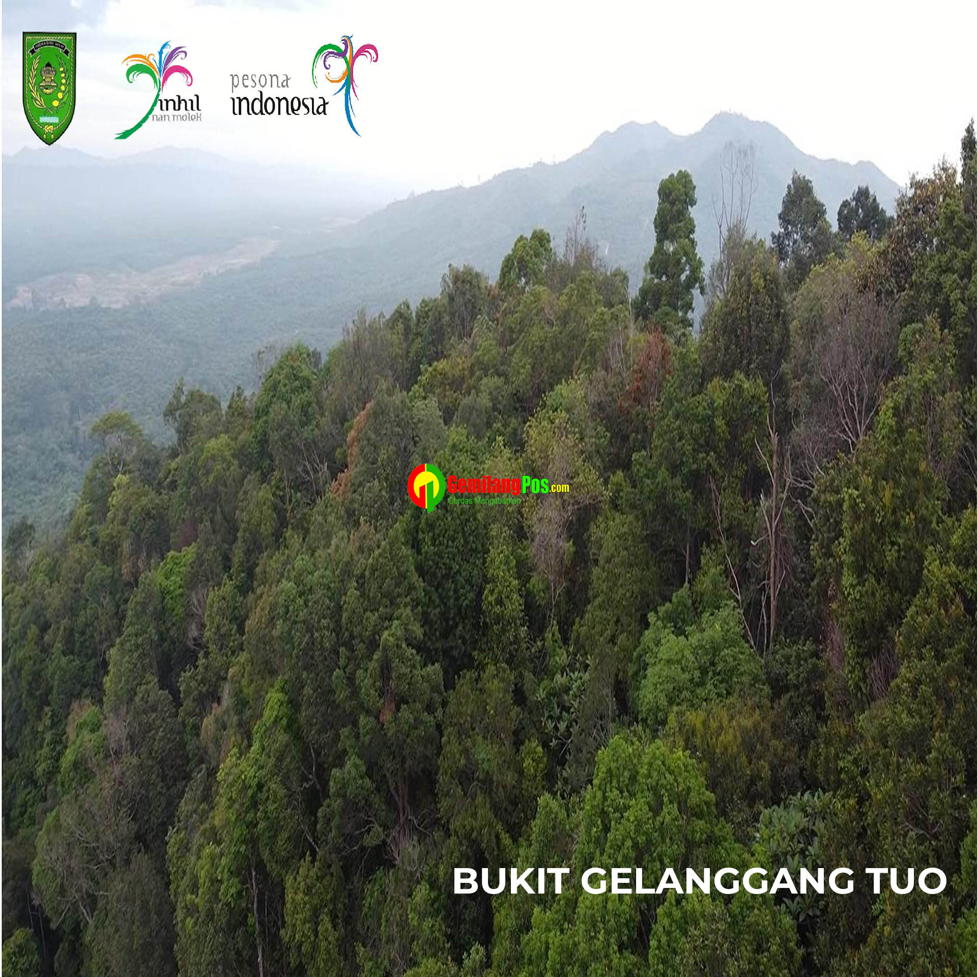 Bukit Gelanggan Mudo Wisata Alam Dengan Penuh Ketenangan