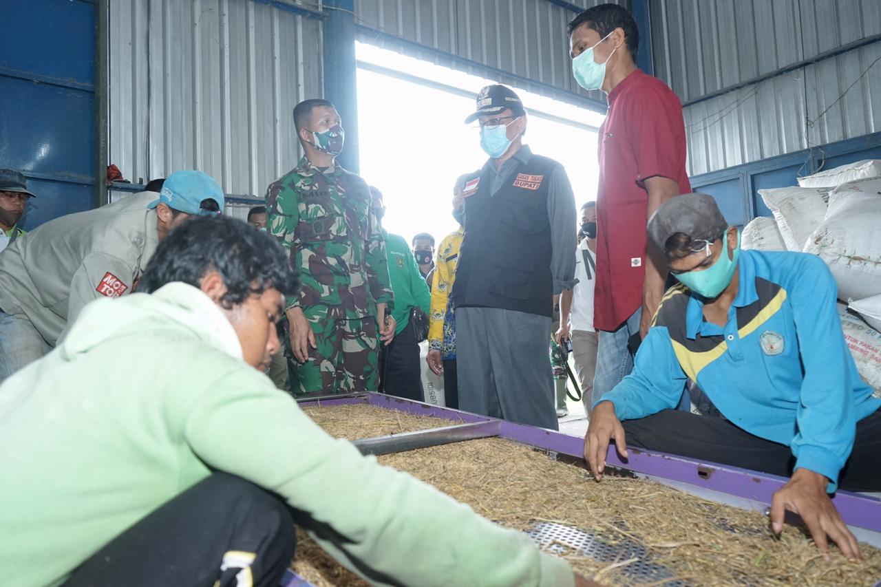 Bupati Inhil Tinjau Kilang Padi 
