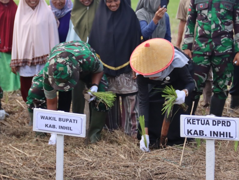 Pemkab Inhil Gelar Penanaman Padi Serentak di Tempuling, Dorong Swasembada Pangan
