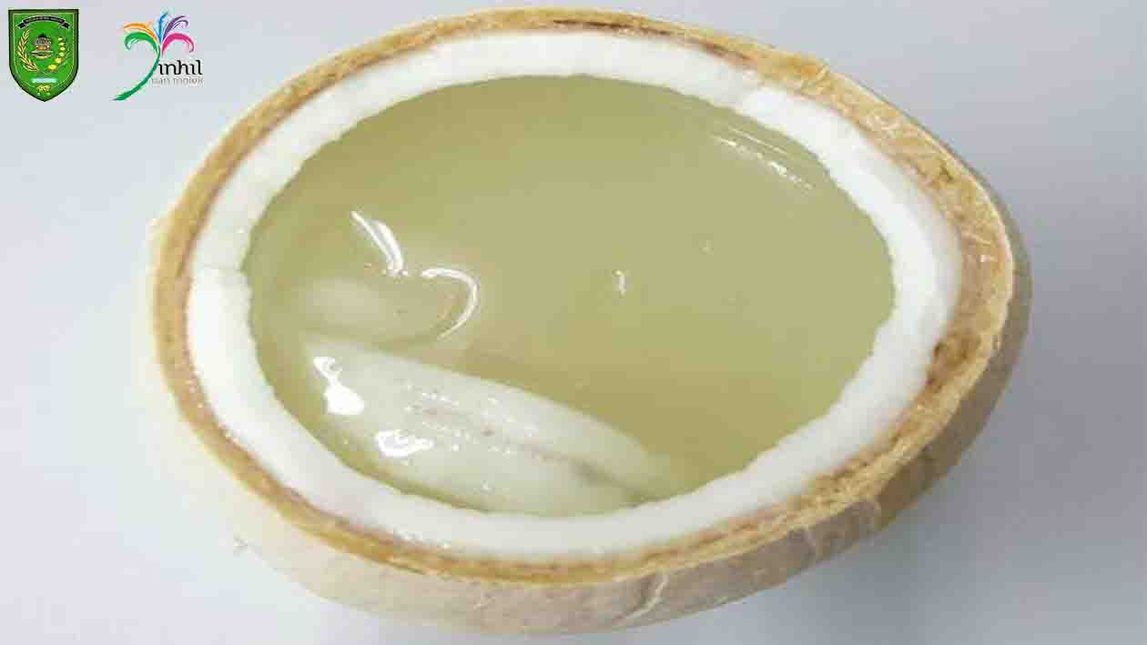 Segarnya Coconut Jelly Tembilahan Bikin Ketagihan