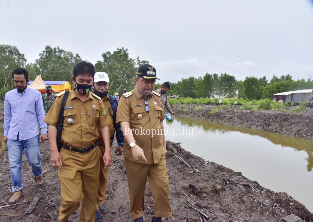Wabup SU; Dikelola Koperasi Harmony Berkah Mandiri akan Muncul Udang Vaname Made in Inhil