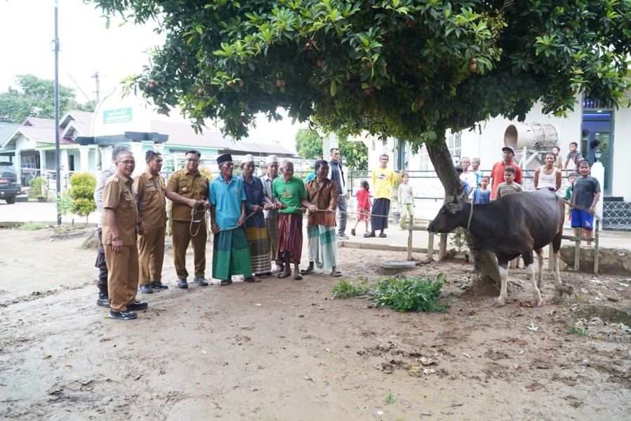 Hj. Hesnidar Haris Serahkan Hewan Kurban untuk Masyarakat Batang Hari dan Muaro Jambi
