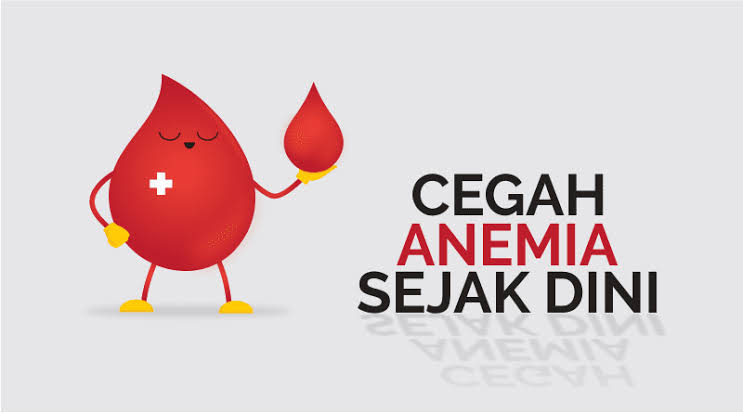 Dinkes Inhil Paparkan Cara Cegah Anemia