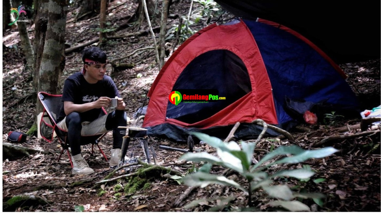 Bukit Bungo, Nikmati Sensasi Camping di Tengah Hutan Nan Asri