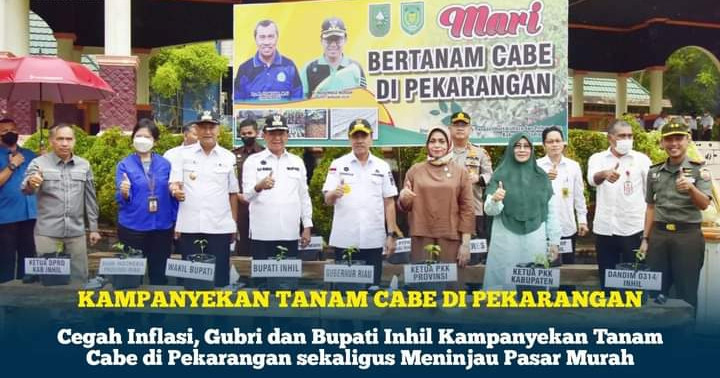 Cegah Inflasi, Gubri dan Bupati Inhil Kampanyekan Tanam Cabe di Pekarangan sekaligus Meninjau Pasar Murah