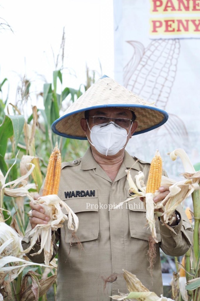 Peringatan Hari Pangan Se-dunia, Bupati Inhil Wardan Penen Raya Jagung