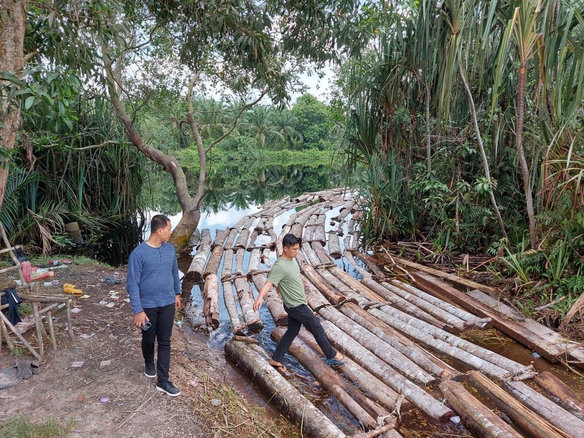 10 Ton Kayu Illegal Logging Diamankan Tim Dari Komplotan Mafia Kayu Mat Ali alias Anak Jenderal
