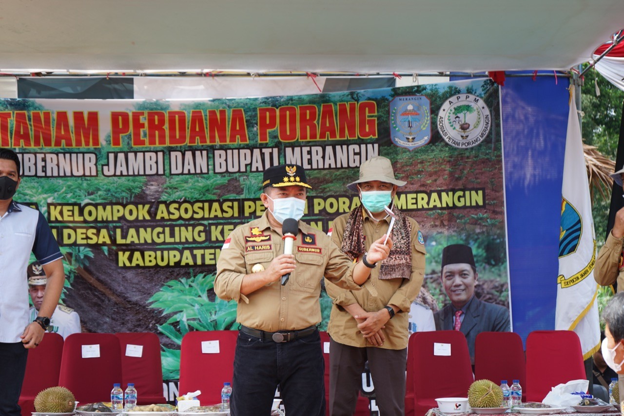 Gubernur Al Haris: Porang Jadi Komoditi Unggulan 