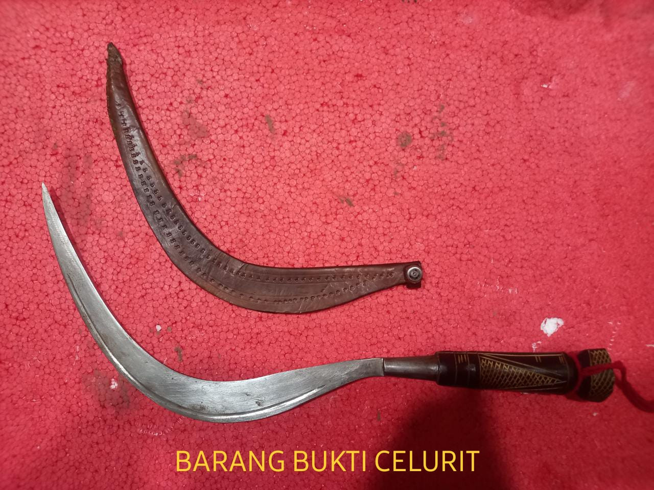 Palak Instruktur Gym dengan Celurit, 2 Pemuda di Inhil Dibekuk