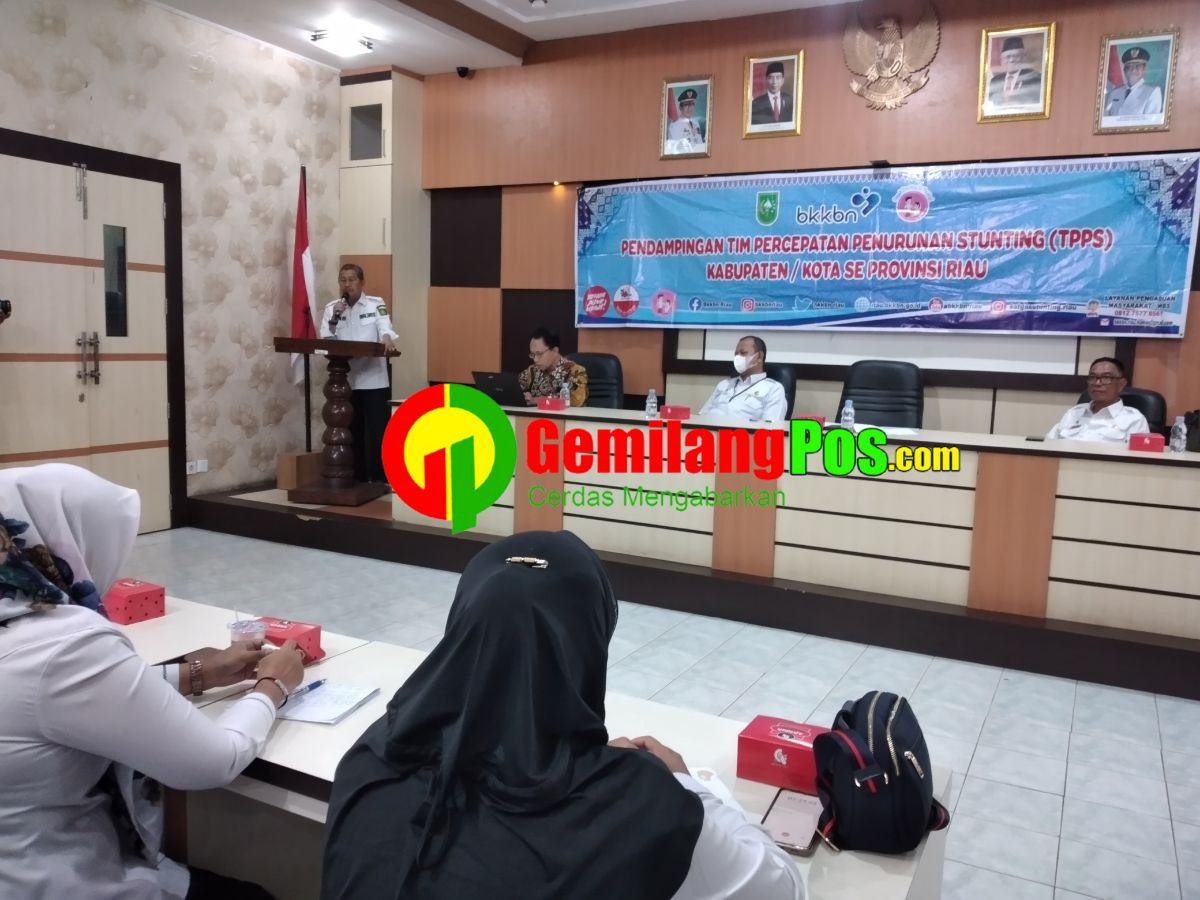 DP2KBP3A Inhil Lakukan Pendampingan Penyusunan Rencana Kerja TPPS