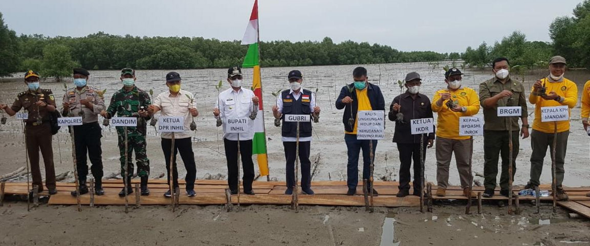 Dampingi Gubri, Bupati Inhil Tanam Pohon Mangrove Di Pantai Terumbu Mabloe