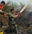 Tiga Hari Karhutla Tak Kunjung Padam, Al Haris Turun Langsung Padamkan Api di Lahan Gambut Muaro Jambi