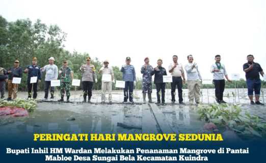 Hari Mangrove Sedunia, Bupati Inhil Bersama Unsur Forkopimda Tanam Mangrove