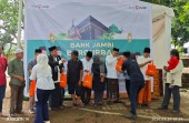 Bank Jambi Tebar Kepedulian di Idul Adha 1447 H, Salurkan 42 Sapi dan 4 Kambing Kurban