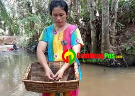Tradisi Menangguk Menangkap Ikan Tradisional di Indragiri Hilir