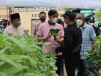 Jawab Aspirasi Anak Muda, Ketua DPRD Edi Ikut Panen Sayuran Hidroponik