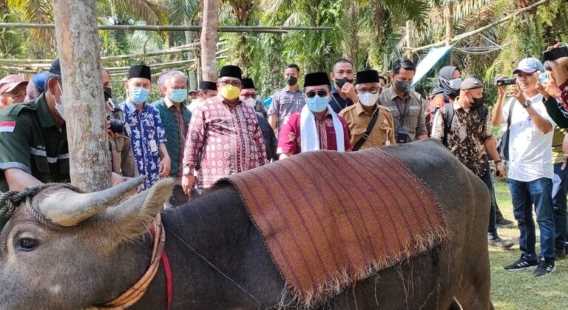 Al Haris: Bantai Adat Tabir Tradisi dan Pertumbuhan Ekonomi