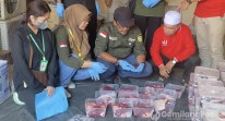 Guna Pastikan Hewan Kurban Idul Adha 1446 H Sehat, DPTPHP Periksa 2.547 Sapi dan 400 Kambing di Inhil