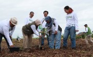 PT SAS dan Group Rehabilitasi Hutan Gambut Jambi Seluas 2 Ribu Hektar, Direktur Kemenhut: Ini Jadi Percontohan Nasional