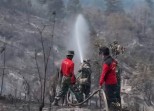 Gubernur Al Haris Pantau Karhutla Tahura di Batang Hari, Dua Waterbombing Disiapkan