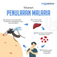 Masyarakat Inhil Diimbau Kenali Gejala dan Cara Pencegahan Malaria