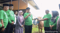 Idul Adha 1445 H, Pemkab Inhil Qurban 14 Ekor Sapi. Pj Bupati Herman Lakukan Penyembelihan Pertama