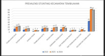 Kecamatan Tembilahan Lakukan Berbagai Upaya Penanganan Stunting