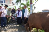 Hj. Hesti Haris bersama BKMT dan Posyandu Serahkan Hewan Kurban di Desa Tangkit dan Kelurahan Kasang