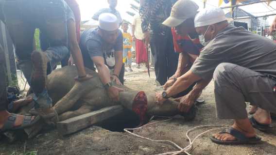 PWI Inhil Laksanakan Ibadah Qurban