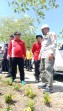 Bupati Bistamam Bersama Kepala DLH Rohil Suwandi Dan Petugas Tanami 100 Pohon Ketapang