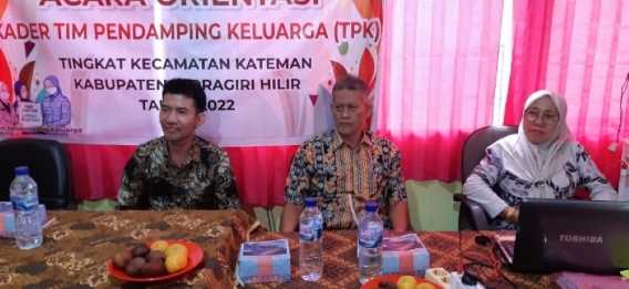 Kader TPK Kecamatan Kateman Ikuti Sosialisasi Penggunaan Aplikasi Elsimil dari DP2KBP3A Inhil