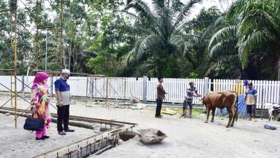 Wakil Bupati H.Syamsuddin Uti Sembelih seekor Sapi di Bayas Jaya - Kempas