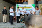 KAJATI MALUKU SERAHKAN HEWAN QURBAN DI MASJID RAYA AL-FATAH AMBON