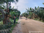 Kades Ajak Warga Talang Jangkang Gotong Royong