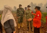 Gubernur Al Haris dan Danrem Turun Langsung ke Lokasi Karhutla di Kumpeh, Angin Kencang dan Sulitnya Air Jadi Kendala