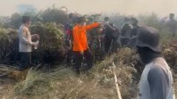 Api Lahan Gambut Terus Muncul, Gubernur Jambi, Kapolda, Dandrem dan Bupati Tanjabtim Turun Langsung Padamkan Karhutla