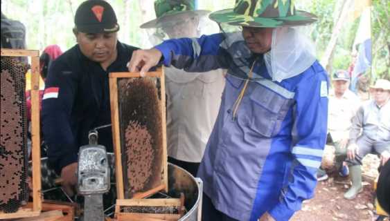 Panen Madu Melimpah Hingga 2 Ton, Bupati Wardan Tinjau Langsung Lokasi 