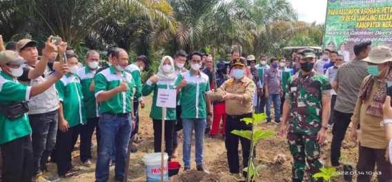 Gubernur Jambi Dorongan Tanaman Porang Jadi Komoditi Unggulan Jamb